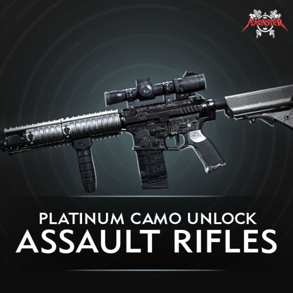 Call of Duty MW Assault Rifle Platinum Camo Unlock Boost CoD Modern